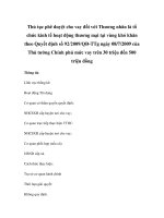 Thủ tục phê duyệt cho vay đối với Thương nhân là tổ chức kinh tế hoạt động thương mại tại vùng khó khăn theo Quyết định số 92/2009/QĐ-TTg ngày 08/7/2009 của Thủ tướng Chính phủ mức vay trên 30 triệu đến 500 triệu đồng potx