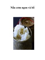 Nấu cơm ngon và bổ pps