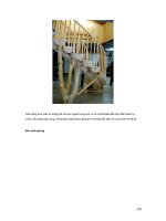 Bộ tài liệu phong thủy trong xây dựng 11 pps