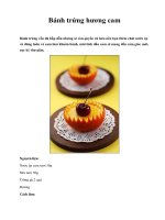 Bánh trứng hương cam potx