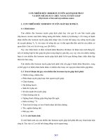 Giáo trình bệnh học 2 (Phần 17) ppsx