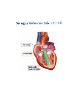 Sự nguy hiểm của blốc nhĩ thất ppt