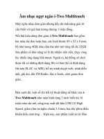 Âm nhạc ngọt ngào i-Two Multitouch pot