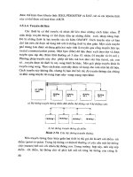 Giáo trình cơ điện tử - Các thành phần cơ bản 10 pot