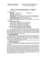 BẢN BÁO CÁO THÀNH TÍCH CÁ NHÂN