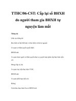 TTHC/06-CST: Cấp lại sổ BHXH do người tham gia BHXH tự nguyện làm mất docx