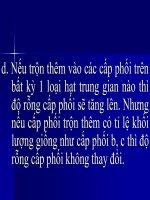 Bài giảng xây dựng mặt đường ôtô 3 P4 potx