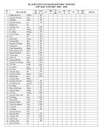 Copy of hanh kiem 10g4