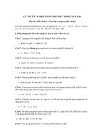 DE THI  - GOI Y BÀI GIAI HOA HOC TNTHPT