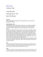 Dân Tộc Nùng docx