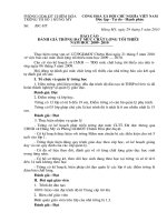 Báo cáo đánh giá trường mức CLTT