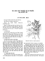 Những cây thuốc và vị thuốc Việt Nam (Phần II-VII) pps