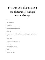 TTHC/43-CST: Cấp thẻ BHYT cho đối tượng chỉ tham gia BHYT bắt buộc ppt