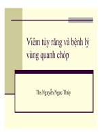 Bài giảng Viêm tủy răng và bệnh lý vùng quanh chóp  Thạc sĩ Nguyễn Ngọc Thúy