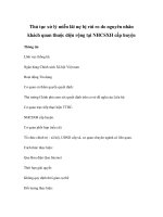 Thủ tục xử lý miễn lãi nợ bị rủi ro do nguyên nhân khách quan thuộc diện rộng tại NHCSXH cấp huyện pptx