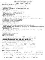 ĐỀ CƯƠNG ÔN TẬP TOÁN 11-HKI