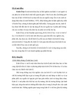 bài tập lớn kinh tế vi mô doc