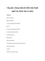 Cấp giấy chứng nhận đủ điều kiện hành nghề cho bệnh viện tư nhân potx