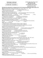 Đề thi thử nghề THCS mã đề 909