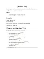 Question Tags