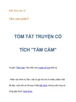 Kiến thức lớp 10 Tấm cám-tóm tắt tác phẩm potx