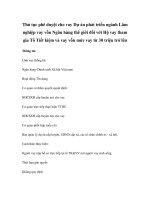 Thủ tục phê duyệt cho vay Dự án phát triển ngành Lâm nghiệp vay vốn Ngân hàng thế giới đối với Hộ vay tham gia Tổ Tiết kiệm và vay vốn mức vay từ 30 triệu trở lên potx