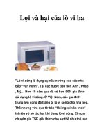 Lợi và hại của lò vi ba pps