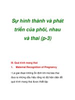 Sự hình thành và phát triển của phôi, nhau và thai (p-3) ppsx