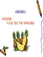 Chuong 2-Enzyme va su xuc tac sinh hoc doc