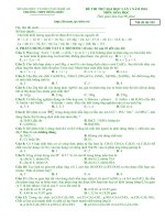Đề&HD Hóa ĐH 2010 số 9