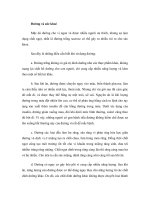 Dinh dưỡng và sức khỏe: Đường và sức khoẻ pps