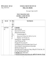 Tóm tắt thành tích 2010 (T.Huy)