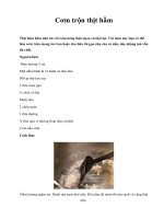 Cơm trộn thịt hầm ppsx