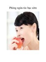 Phòng ngừa tóc bạc sớm pps