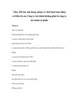 Thay đổi tên, nội dung, phạm vi, thời hạn hoạt động và Điều lệ của Công ty tài chính không phải là công ty tài chính cổ phần ppt