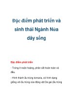 Đặc điểm phát triển và sinh thái Ngành Nửa dây sống pdf