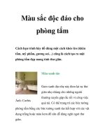 Màu sắc độc đáo cho phòng tắm pps