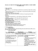 giáo án sinh học 11