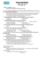 đề thi ngữ văn 9 đầu kì 1 2009-2010