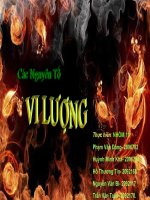 Nguyên tố vi lượng ppt