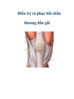 Điều trị và phục hồi chấn thương đầu gối ppt