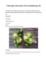 Cảm giác tươi mới với trà chanh bạc hà doc