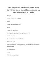 Cấp Chứng chỉ hành nghề dược cho cá nhân là công dân Việt Nam đăng ký hành nghề dược (trừ trường hợp thuộc thẩm quyền của Bộ Y tế cấp) pdf