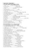 TS 10: VERB TENSES + VERB FORMS