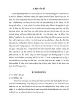 sang kien kinh nghệm