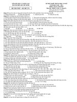 Đề thi thử nghề mã đề 274