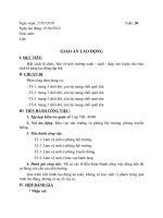 Giao an lao dong danh cho TTSP