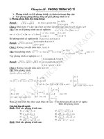 Chuyen de BD HSG lop 9  ph­uong trinh vo ti HAY