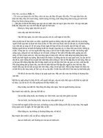 Chú Tư, con là ai? (Phần 5)