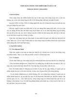 Giáo trình bệnh học 2 (Phần 5) pptx